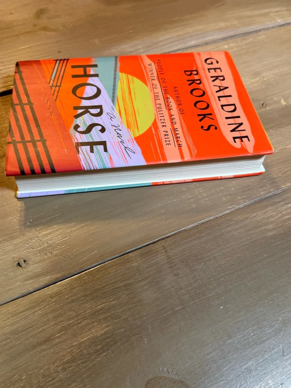 Horse Geraldine Brooks Hardcover Novel Dust Jacket Historical Fiction Book